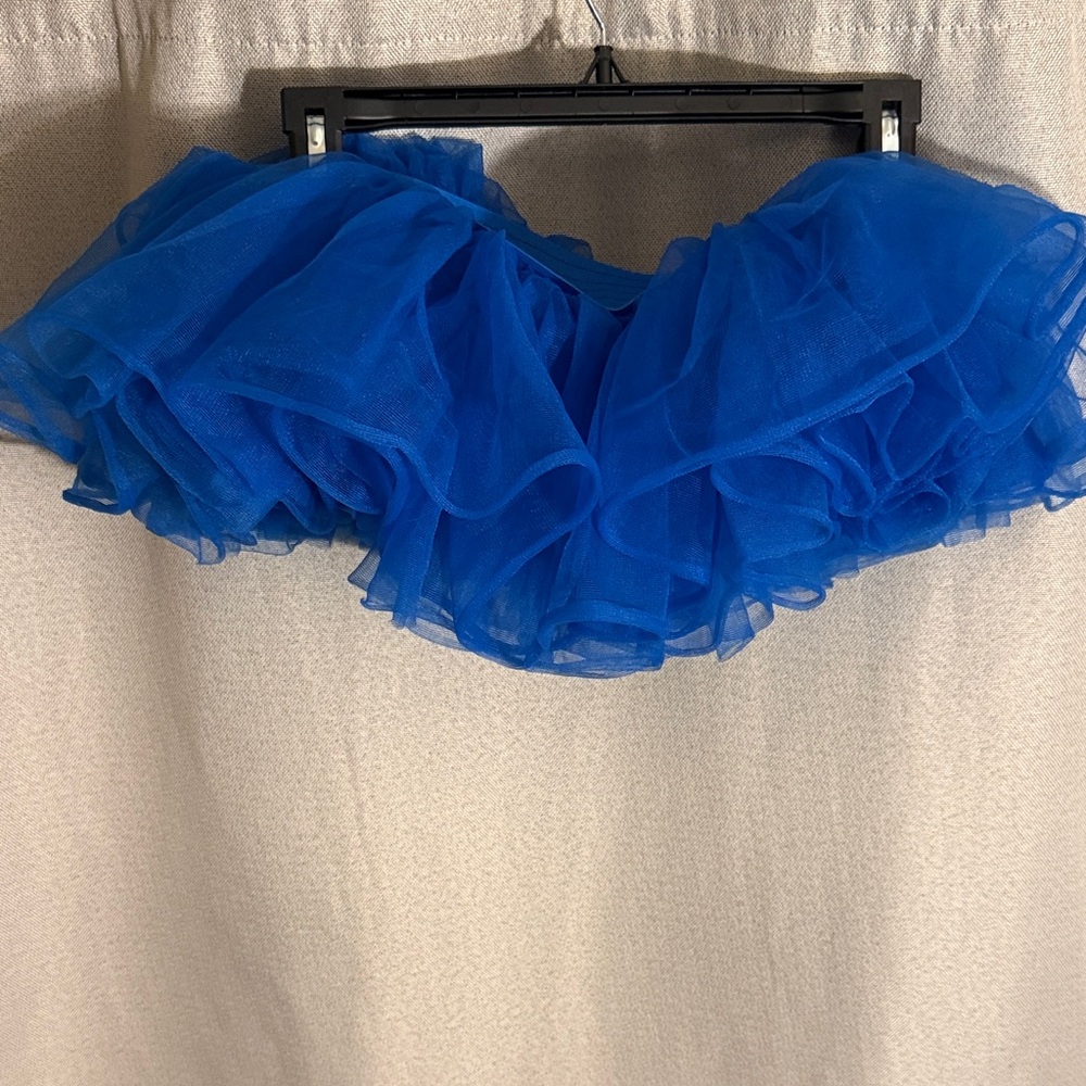 Blue Tulle Skirt